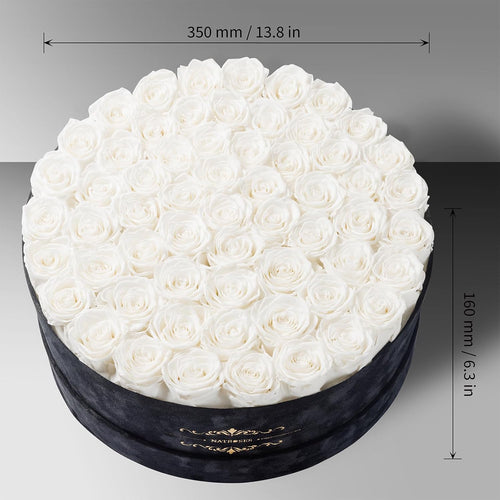 Gifts for Women – NATROSES 60 Preserved Roses in Luxury Black Velvet Box, Preserved Flowers for Delivery Gift for Her, Elegant Rose for Birthday, Mother’s Day, Christmas (White)