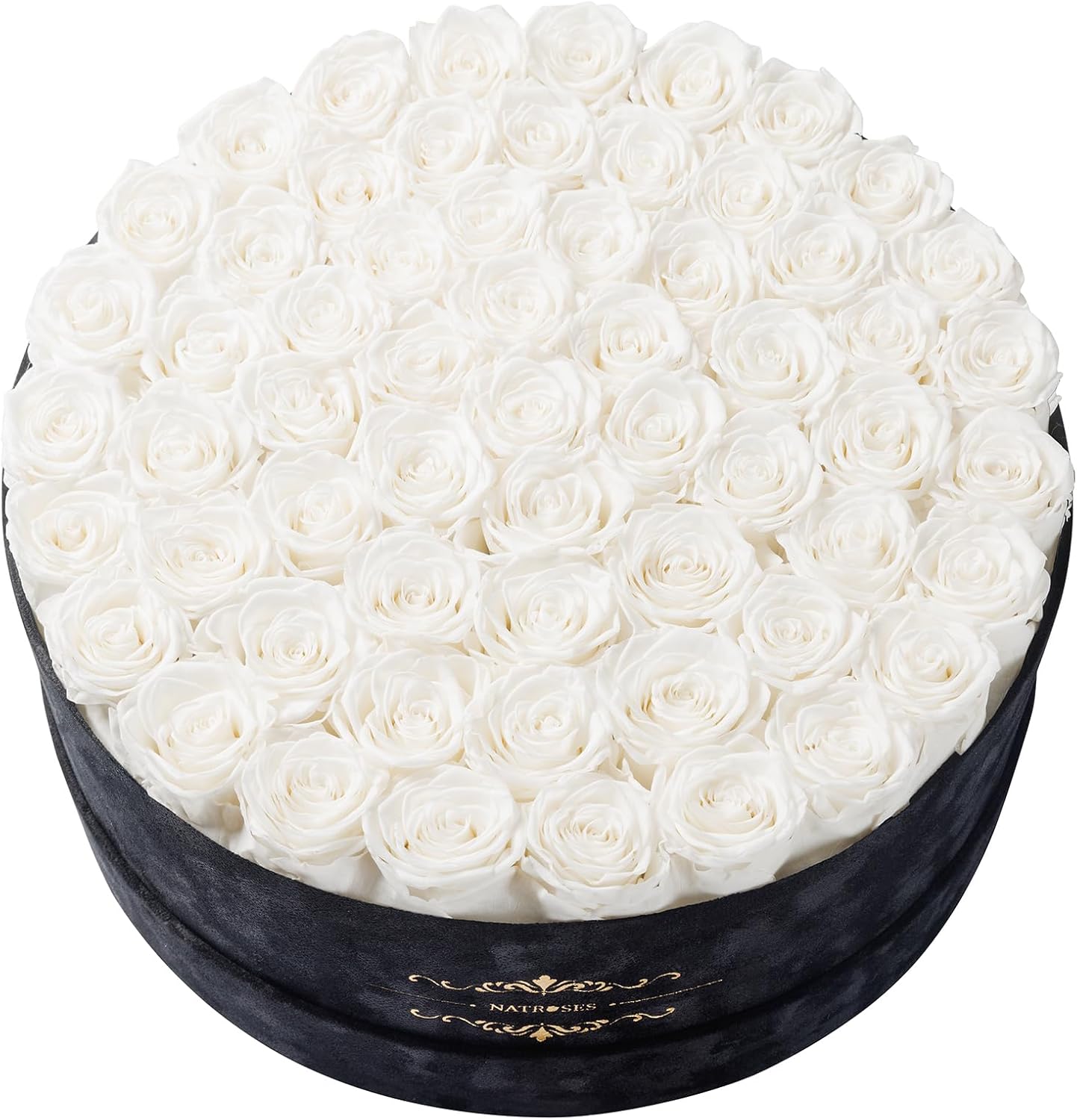 Gifts for Women – NATROSES 60 Preserved Roses in Luxury Black Velvet Box, Preserved Flowers for Delivery Gift for Her, Elegant Rose for Birthday, Mother’s Day, Christmas (White)