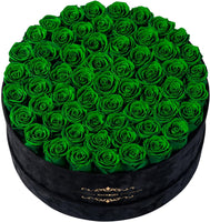 Gifts for Women – NATROSES 60 Preserved Roses in Luxury Black Velvet Box, Preserved Flowers for Delivery Gift for Her, Elegant Rose for Birthday, Mother’s Day, Christmas (Forest Green)