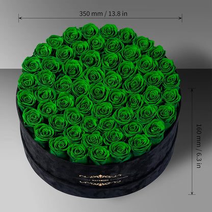 Gifts for Women – NATROSES 60 Preserved Roses in Luxury Black Velvet Box, Preserved Flowers for Delivery Gift for Her, Elegant Rose for Birthday, Mother’s Day, Christmas (Forest Green)